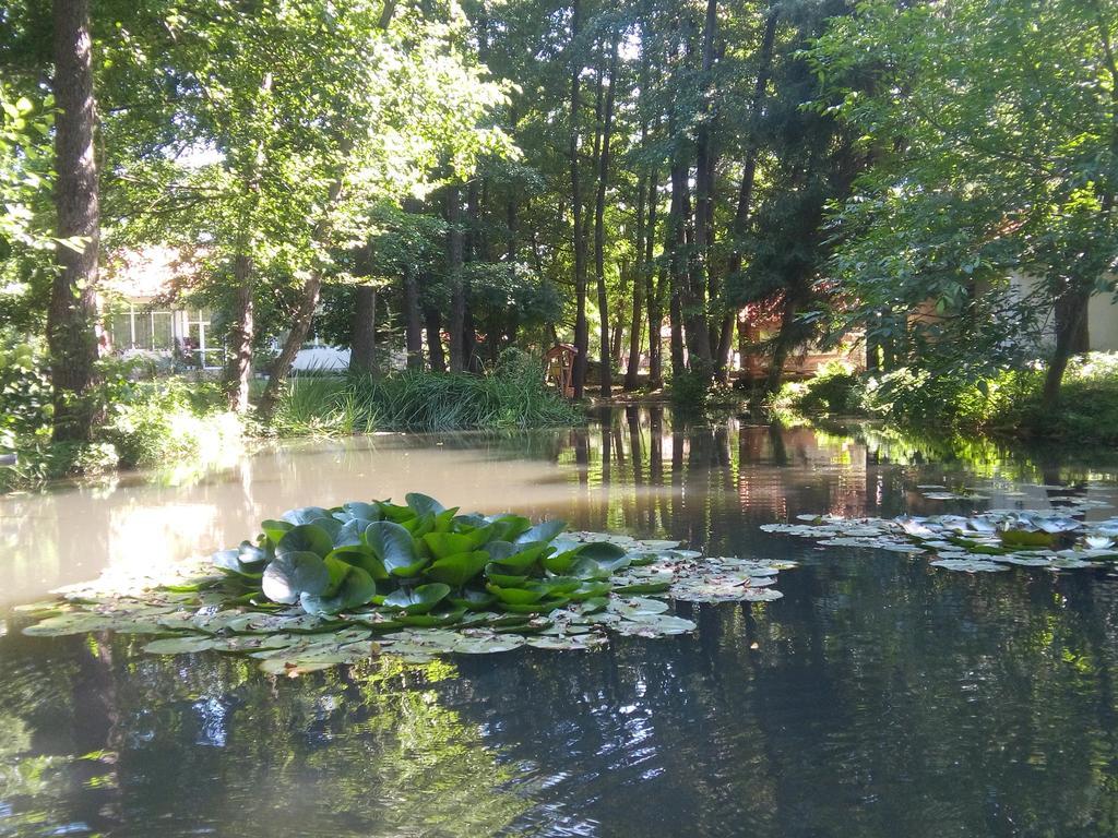 Holiday Park Ranchoto Hotel Kirkovo  Buitenkant foto