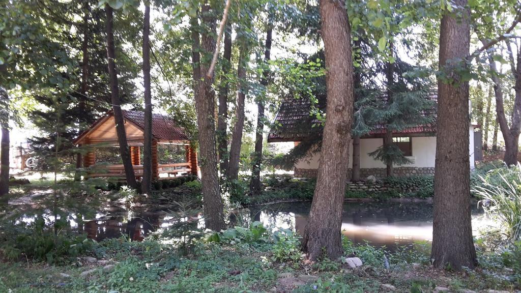 Holiday Park Ranchoto Hotel Kirkovo  Buitenkant foto